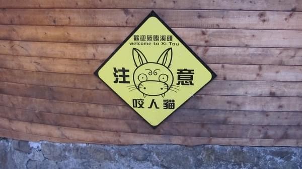 溪頭妖怪村：溪頭-妖怪村朝聖之旅