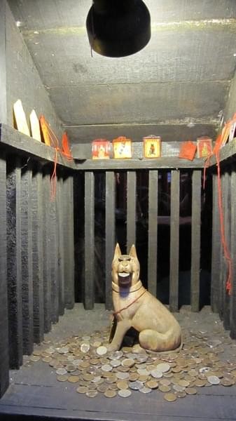 溪頭妖怪村：溪頭-妖怪村朝聖之旅