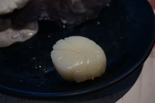 DSC03238.JPG DSC03238.JPG