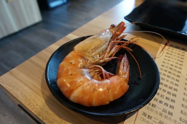 DSC03250.JPG DSC03250.JPG