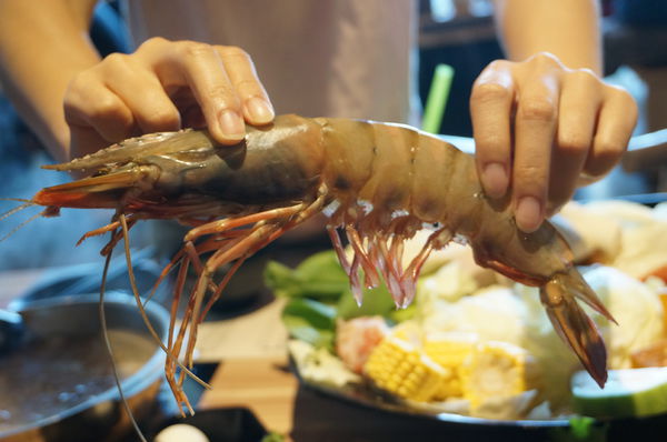 DSC03236.JPG DSC03236.JPG