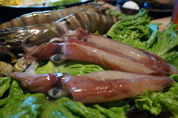 DSC03244.JPG DSC03244.JPG