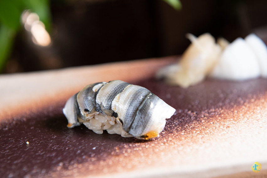 大安無菜單日式料理》鮨佐樂 Omakase - 一期一會的頂級饗宴 創意無菜單料理推薦 - 時空幻境 凌雲江海清