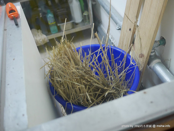 三代目安兵衛 台湾一號店：【食記】台中三代目屋台餃子安兵衛-台灣一號店@西區中美橫丁Hirome ひろめ横丁&廣三SOGO-捷運BRT科博館 : 弘人市場在台灣!輕鬆享受高知飲食文化