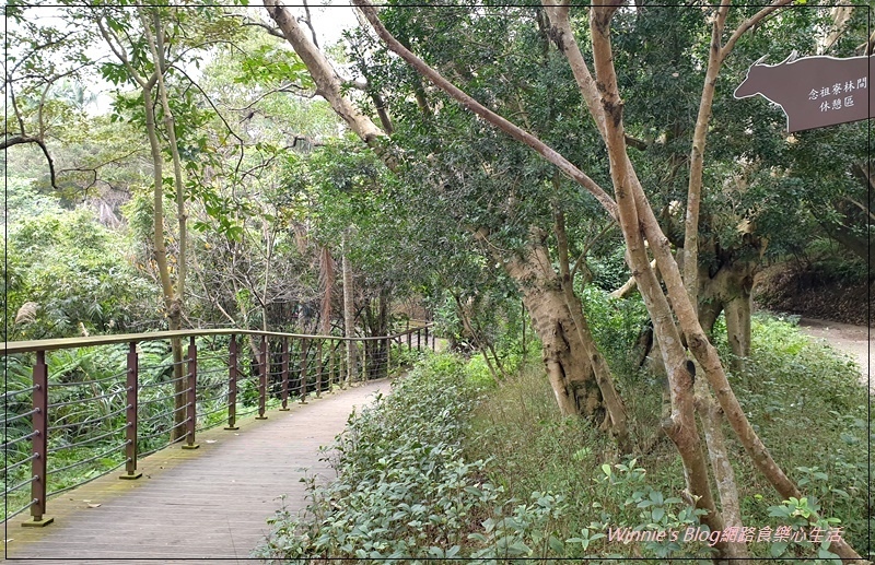 桃園蘆竹五酒桶山步道(南天宮旁步道+桃園親子景觀步道+大草坪) 18.jpg