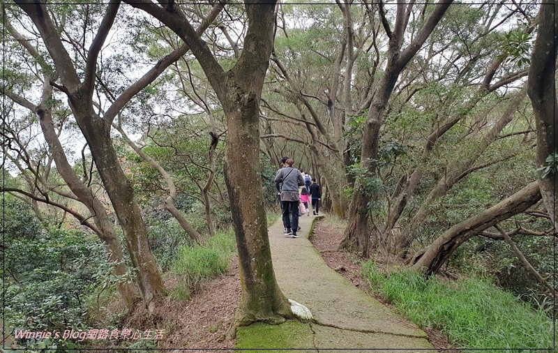 桃園蘆竹五酒桶山步道(南天宮旁步道+桃園親子景觀步道+大草坪) 09.jpg