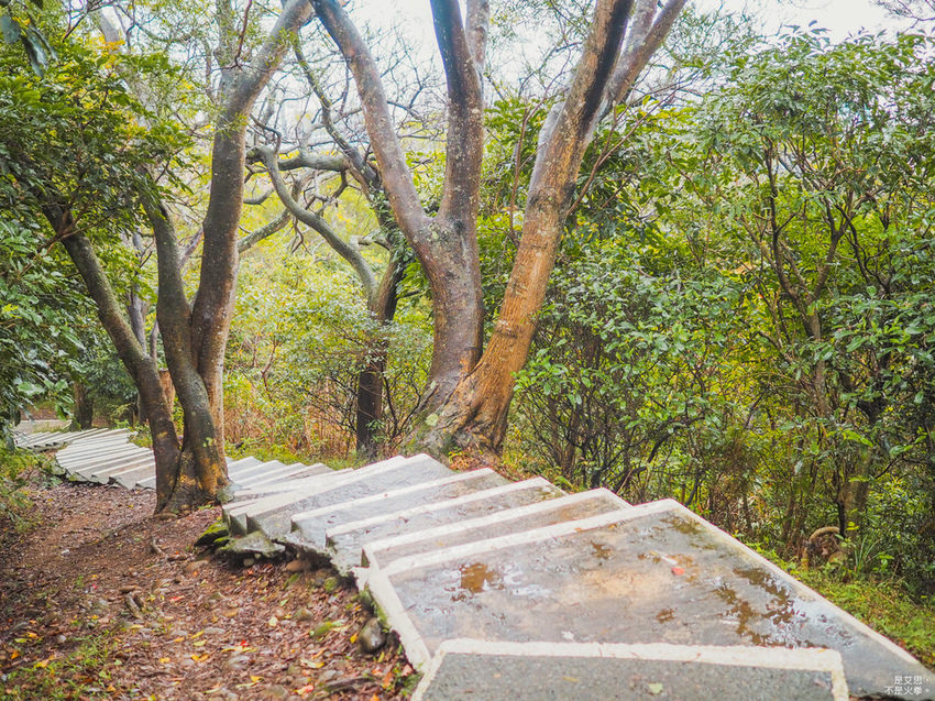 Five Wine Barrels Mountain-7.jpg