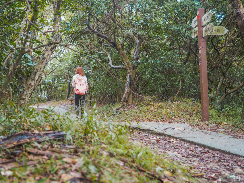 Five Wine Barrels Mountain-25.jpg