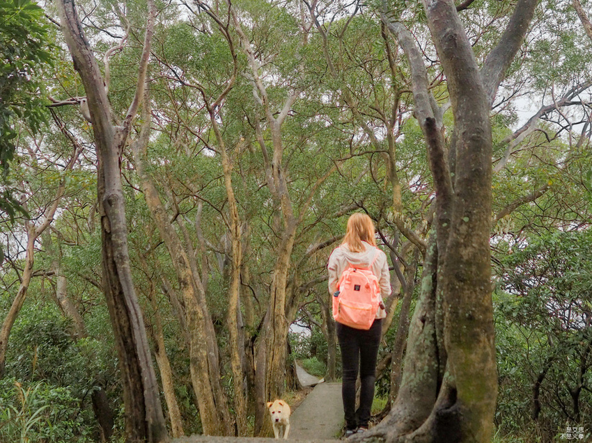 Five Wine Barrels Mountain-51.jpg