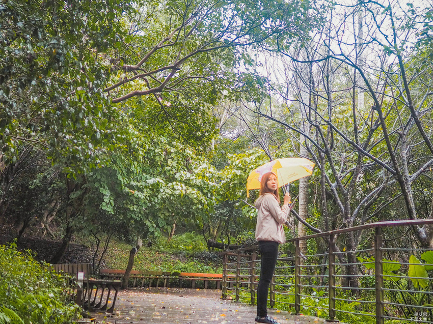 Five Wine Barrels Mountain-40.jpg