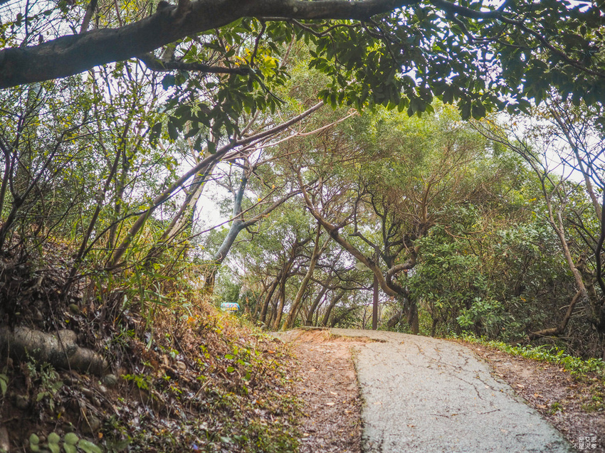 Five Wine Barrels Mountain-12.jpg