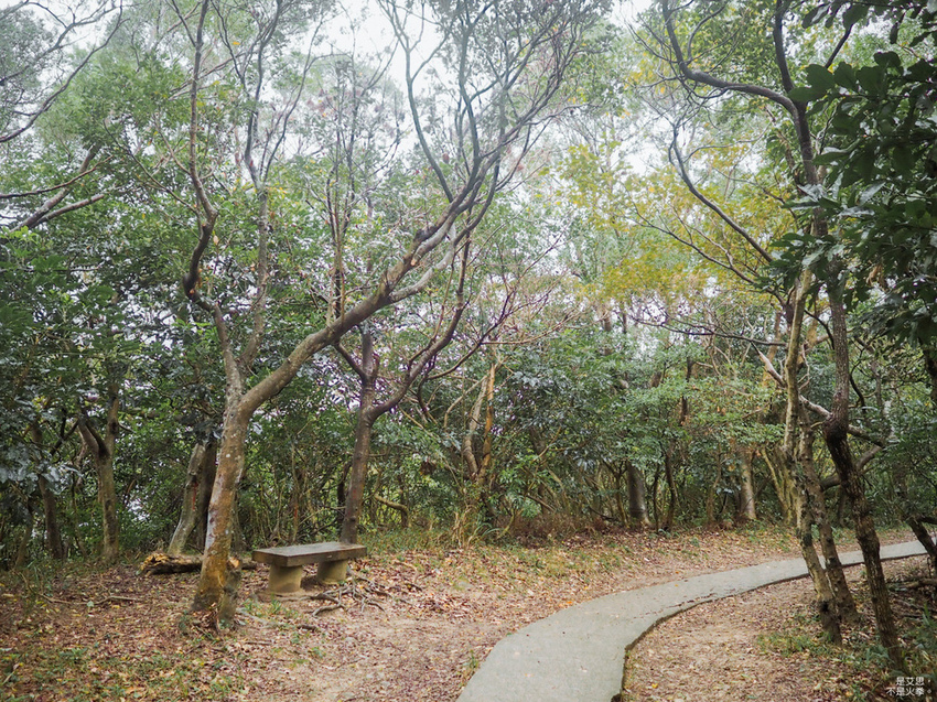 Five Wine Barrels Mountain-48.jpg