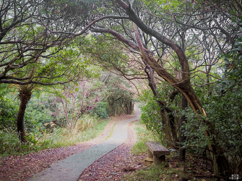 Five Wine Barrels Mountain-47.jpg