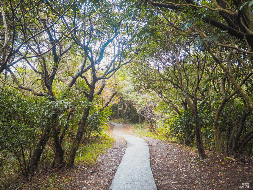 Five Wine Barrels Mountain-24.jpg