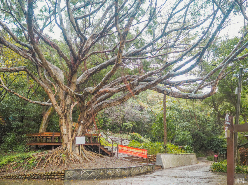 Five Wine Barrels Mountain-38.jpg