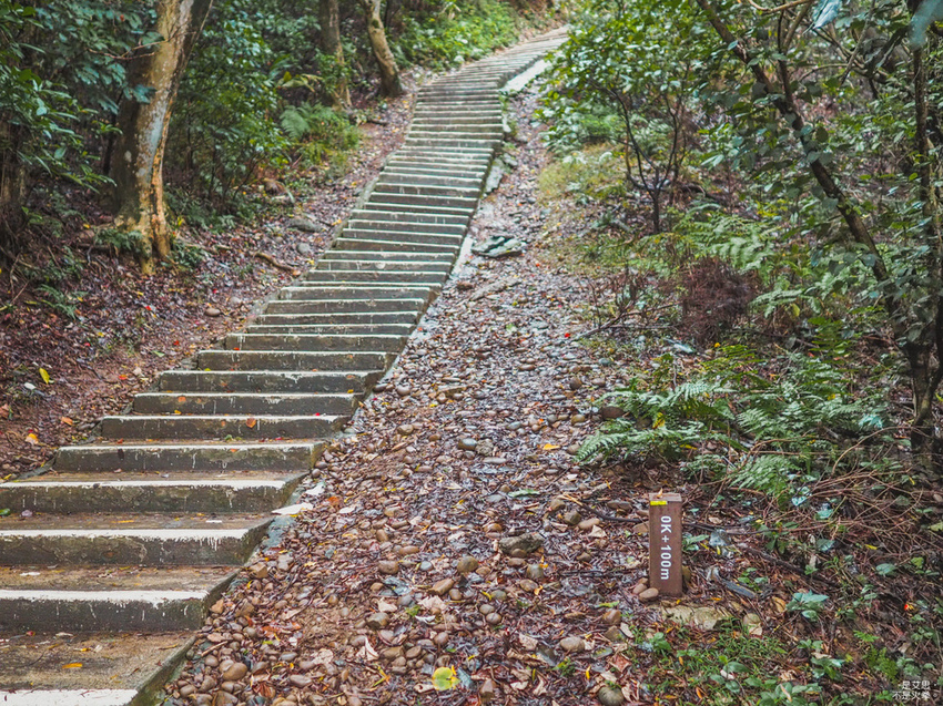 Five Wine Barrels Mountain-5.jpg