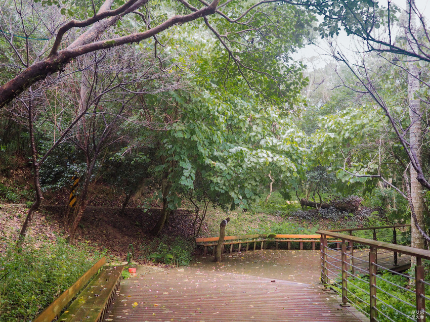 Five Wine Barrels Mountain-41.jpg