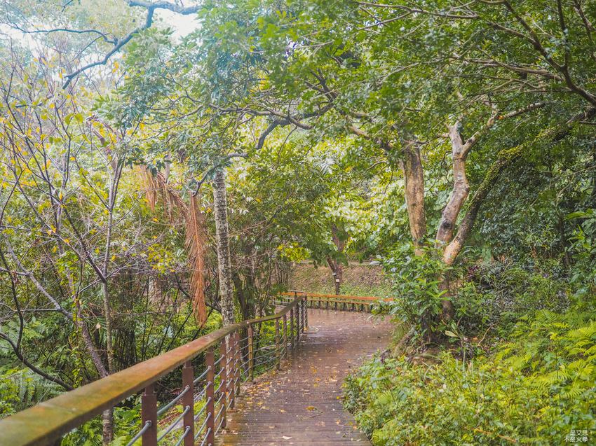 Five Wine Barrels Mountain-33.jpg