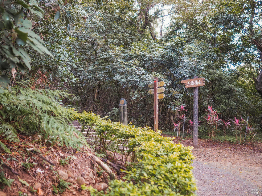 Five Wine Barrels Mountain-3.jpg