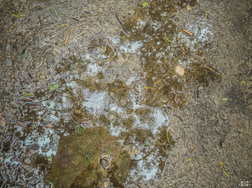 Five Wine Barrels Mountain-44.jpg