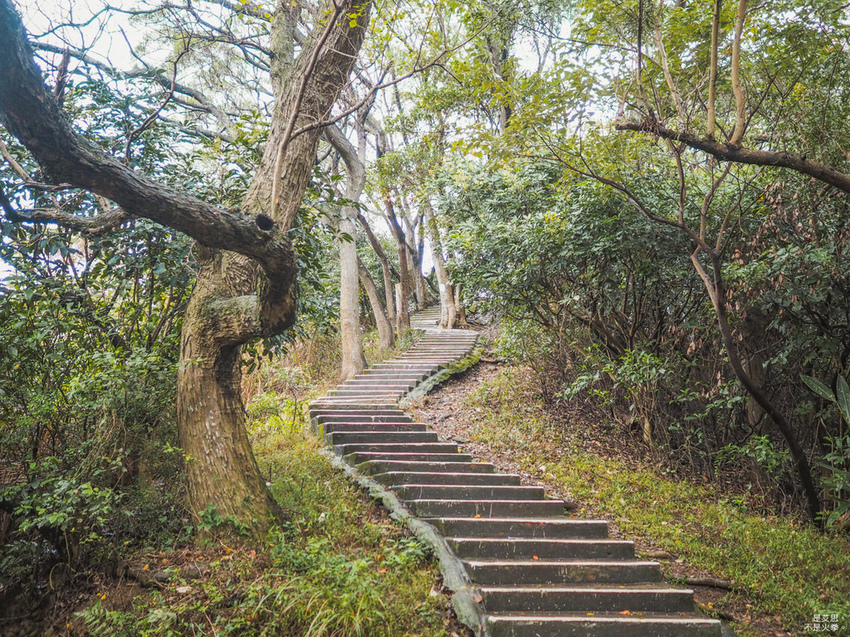 Five Wine Barrels Mountain-6.jpg