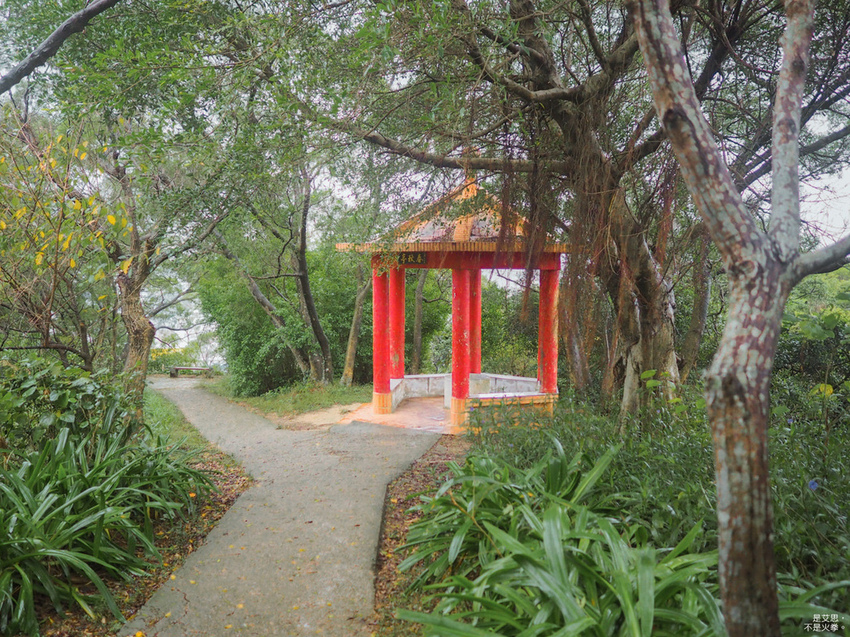 Five Wine Barrels Mountain-50.jpg