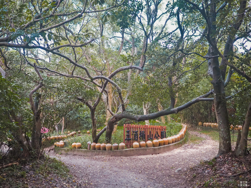 Five Wine Barrels Mountain-30.jpg