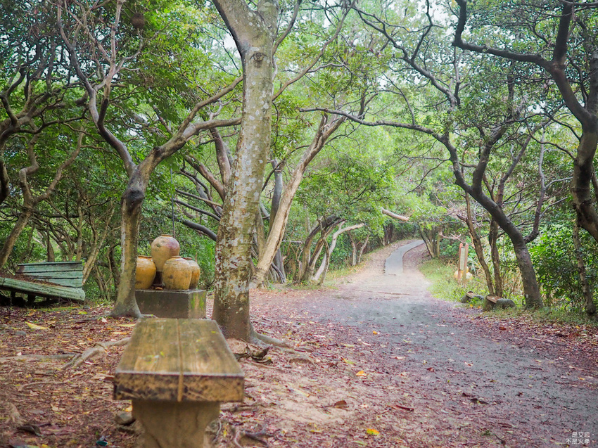 Five Wine Barrels Mountain-45.jpg