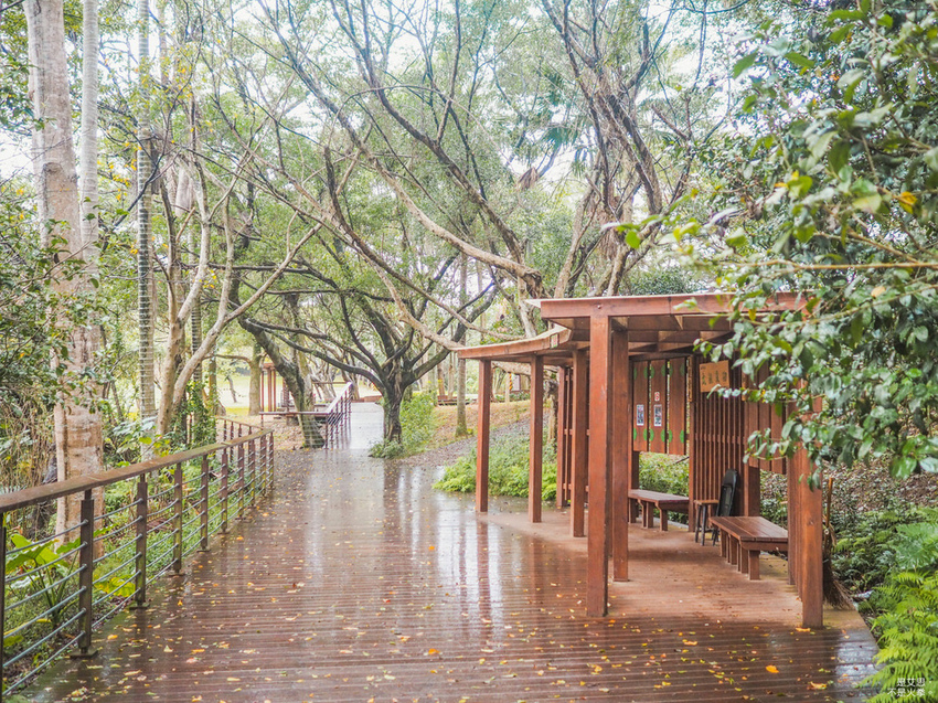 Five Wine Barrels Mountain-34.jpg