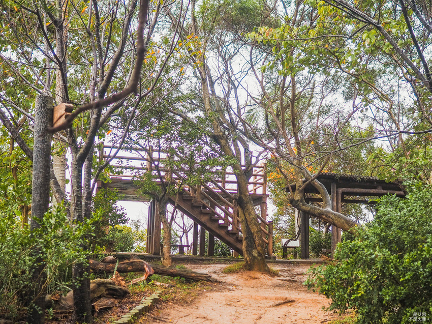 Five Wine Barrels Mountain-13.jpg