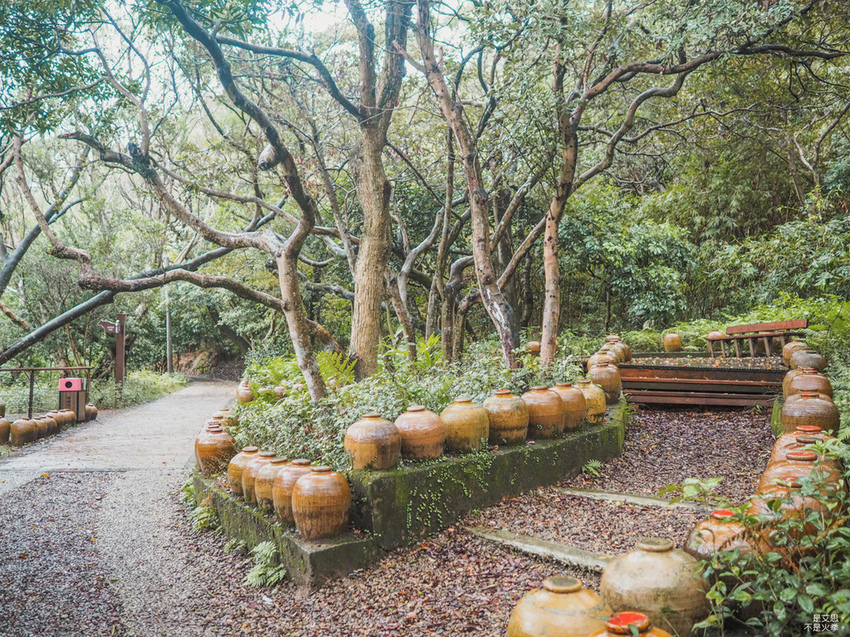 Five Wine Barrels Mountain-32.jpg