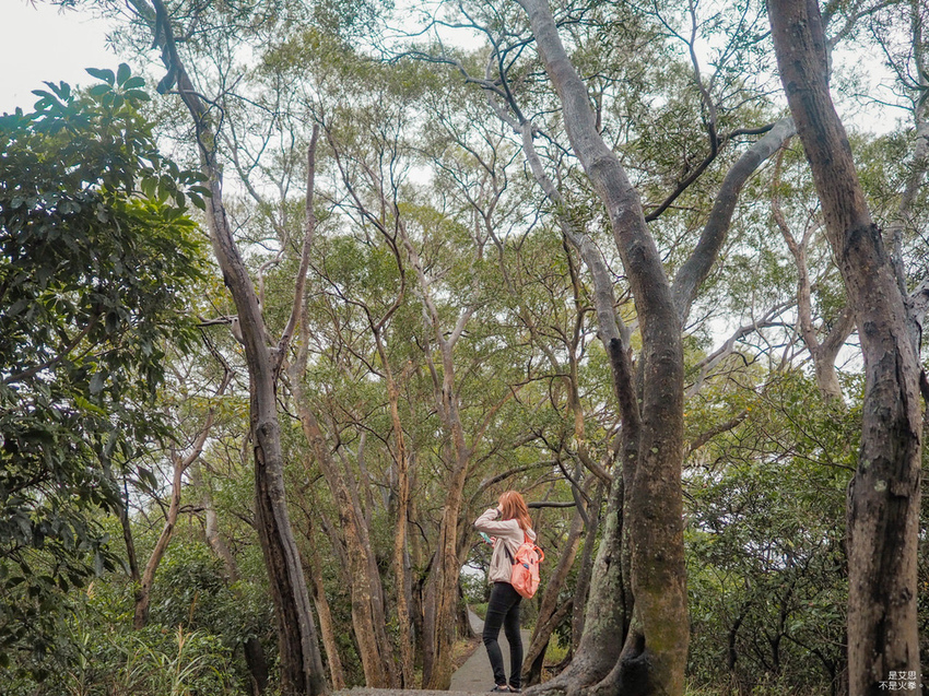 Five Wine Barrels Mountain-53.jpg