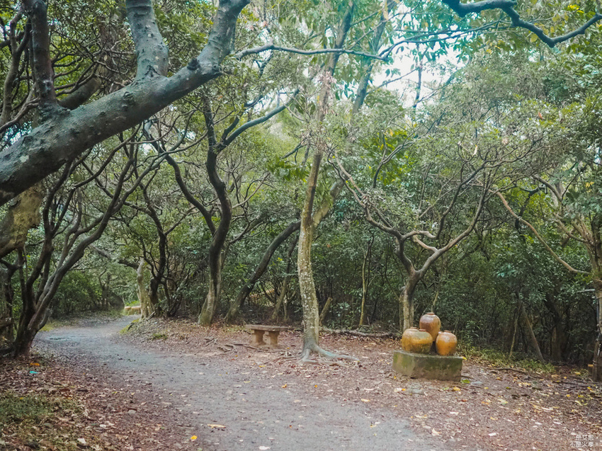 Five Wine Barrels Mountain-29.jpg