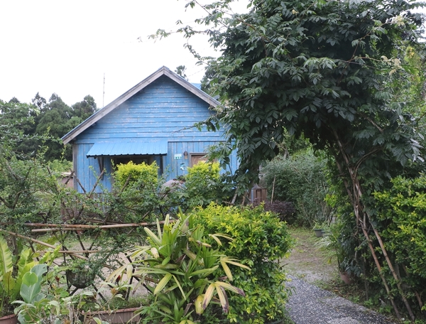 鄒遊阿里山、戀戀FUZU之旅,奮起湖百年舊車站、四方竹、火車展示館、百年土地公廟、雨中漫步台灣杉森林棧道、再訪星空小木屋、阿良現烤甜甜圈、奮起湖老街巡禮