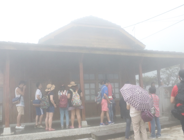 鄒遊阿里山、戀戀FUZU之旅,奮起湖百年舊車站、四方竹、火車展示館、百年土地公廟、雨中漫步台灣杉森林棧道、再訪星空小木屋、阿良現烤甜甜圈、奮起湖老街巡禮