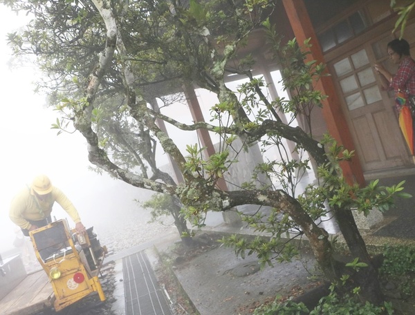 鄒遊阿里山、戀戀FUZU之旅,奮起湖百年舊車站、四方竹、火車展示館、百年土地公廟、雨中漫步台灣杉森林棧道、再訪星空小木屋、阿良現烤甜甜圈、奮起湖老街巡禮