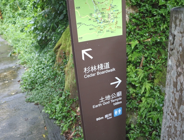 鄒遊阿里山、戀戀FUZU之旅,奮起湖百年舊車站、四方竹、火車展示館、百年土地公廟、雨中漫步台灣杉森林棧道、再訪星空小木屋、阿良現烤甜甜圈、奮起湖老街巡禮