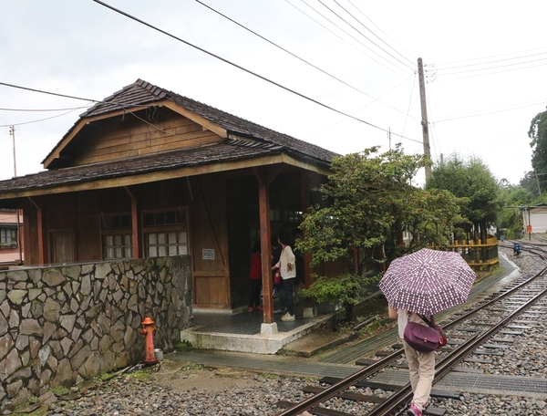 鄒遊阿里山、戀戀FUZU之旅,奮起湖百年舊車站、四方竹、火車展示館、百年土地公廟、雨中漫步台灣杉森林棧道、再訪星空小木屋、阿良現烤甜甜圈、奮起湖老街巡禮