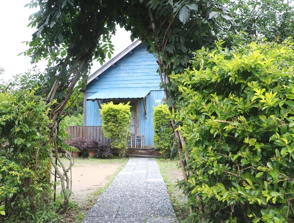 鄒遊阿里山、戀戀FUZU之旅,奮起湖百年舊車站、四方竹、火車展示館、百年土地公廟、雨中漫步台灣杉森林棧道、再訪星空小木屋、阿良現烤甜甜圈、奮起湖老街巡禮