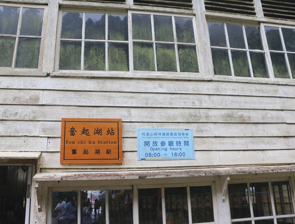 鄒遊阿里山、戀戀FUZU之旅,奮起湖百年舊車站、四方竹、火車展示館、百年土地公廟、雨中漫步台灣杉森林棧道、再訪星空小木屋、阿良現烤甜甜圈、奮起湖老街巡禮