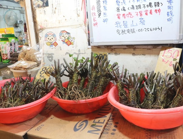 鄒遊阿里山、戀戀FUZU之旅,奮起湖百年舊車站、四方竹、火車展示館、百年土地公廟、雨中漫步台灣杉森林棧道、再訪星空小木屋、阿良現烤甜甜圈、奮起湖老街巡禮