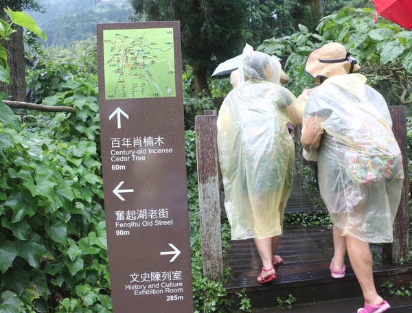 鄒遊阿里山、戀戀FUZU之旅,奮起湖百年舊車站、四方竹、火車展示館、百年土地公廟、雨中漫步台灣杉森林棧道、再訪星空小木屋、阿良現烤甜甜圈、奮起湖老街巡禮