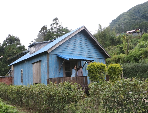 鄒遊阿里山、戀戀FUZU之旅,奮起湖百年舊車站、四方竹、火車展示館、百年土地公廟、雨中漫步台灣杉森林棧道、再訪星空小木屋、阿良現烤甜甜圈、奮起湖老街巡禮