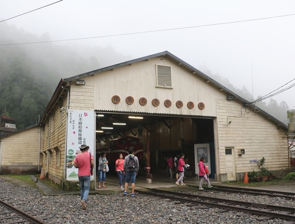 鄒遊阿里山、戀戀FUZU之旅,奮起湖百年舊車站、四方竹、火車展示館、百年土地公廟、雨中漫步台灣杉森林棧道、再訪星空小木屋、阿良現烤甜甜圈、奮起湖老街巡禮