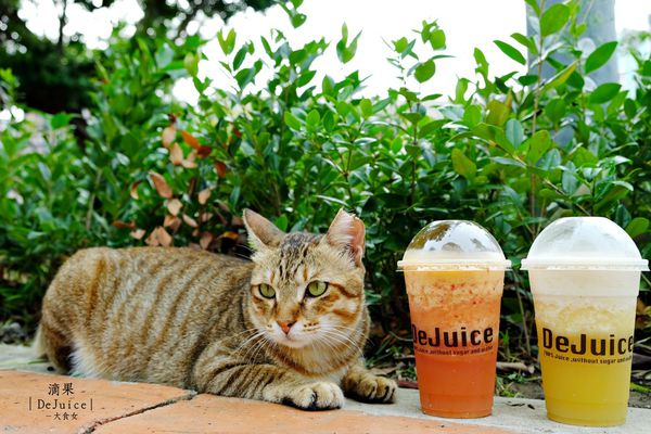 中山站美食-滴果DeJuice 中山站美食-滴果DeJuice