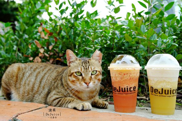 中山站美食-滴果DeJuice 中山站美食-滴果DeJuice