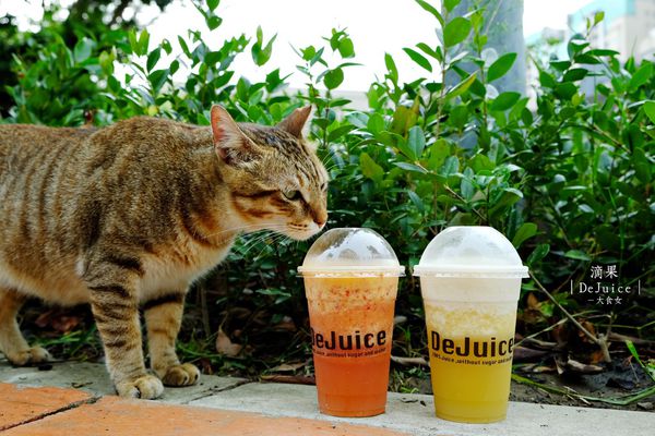 中山站美食-滴果DeJuice 中山站美食-滴果DeJuice
