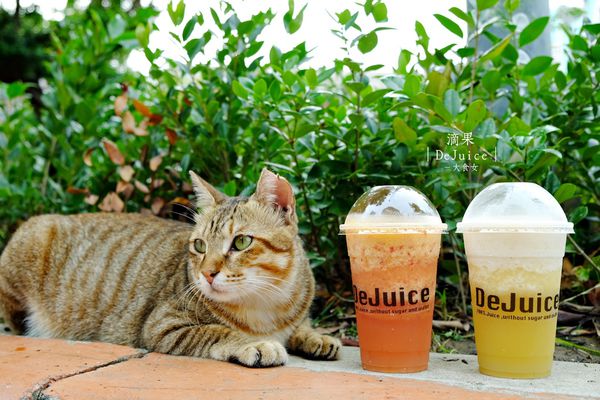 中山站美食-滴果DeJuice 中山站美食-滴果DeJuice