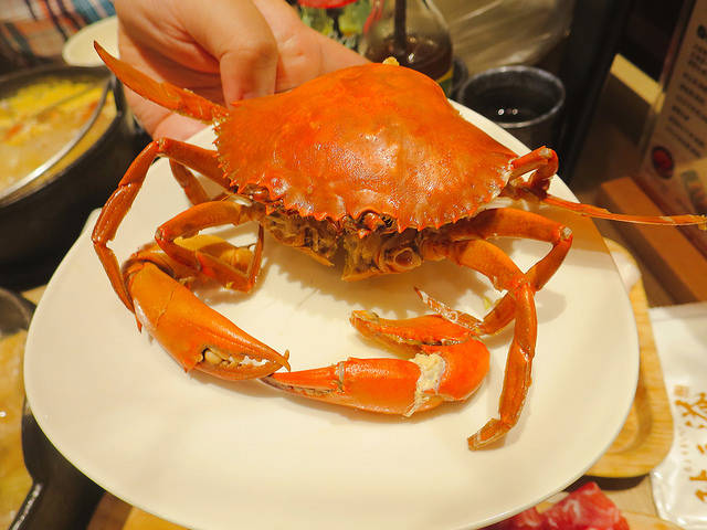 秋豆溢日式鍋物 (50)