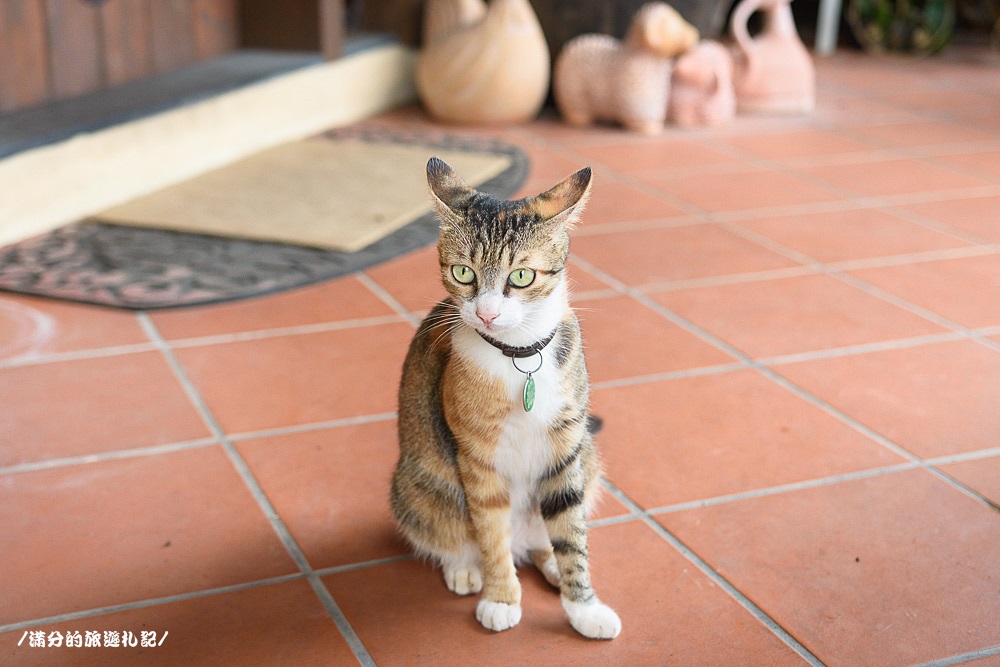 新竹新埔景點》黛安莊園 新竹景觀餐廳 情侶約會下午茶 森林裡的南法莊園 - 滿分的旅遊札記
